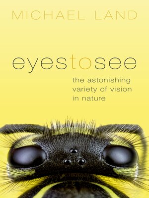 cover image of Eyes to See